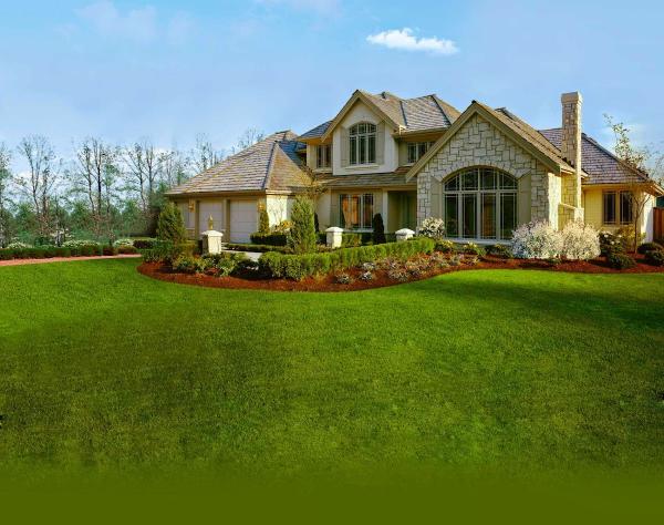 The Lawn Pro