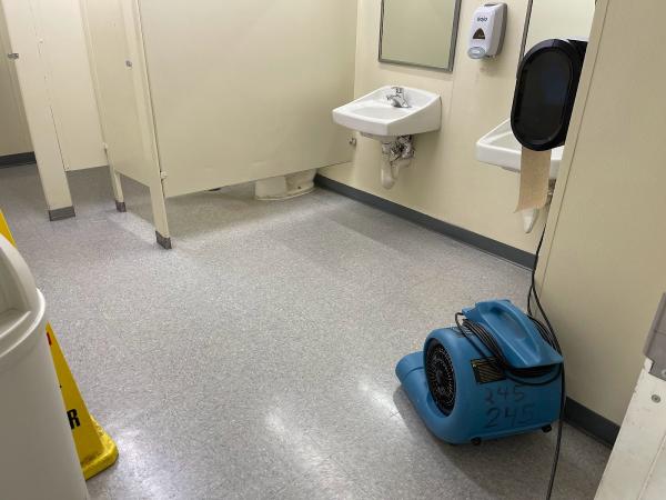 Colorado Stainmaster Water Damage Restoration