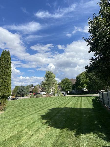 C&S Landscaping