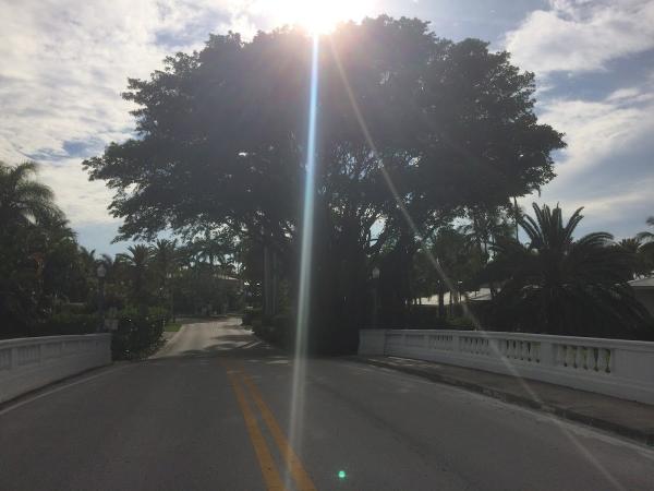 Parsons Tree and Landscaping