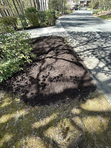 Pages Lawns & More