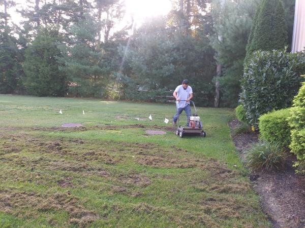 D Bernal Landscaping & Irrigation LLC
