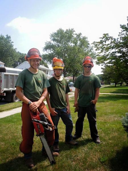 Snyder Tree Service LLC