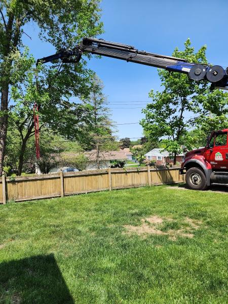 Snyder Tree Service LLC
