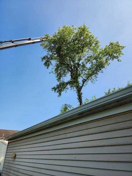 Snyder Tree Service LLC