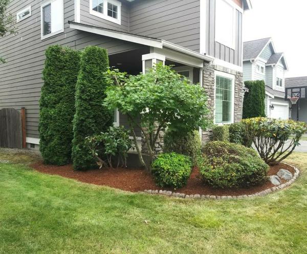 Perez Lawn Service & Handyman LLC