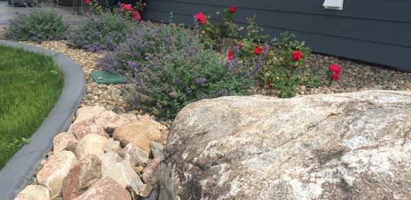 Next 2 Nature Landscape Company