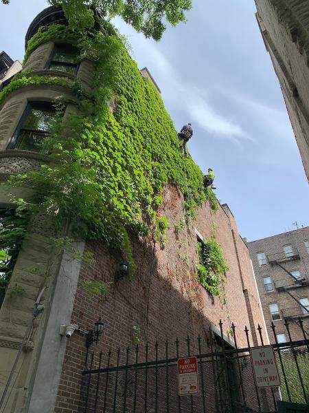 NY Horticulture Group