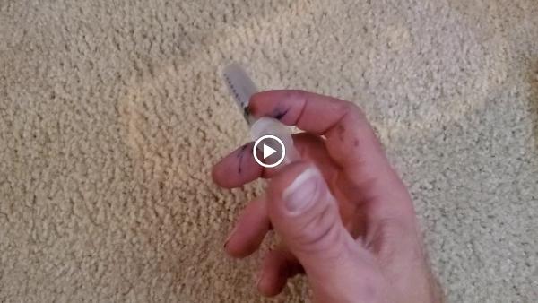 Clean Bee Flooring & Upholstery Care