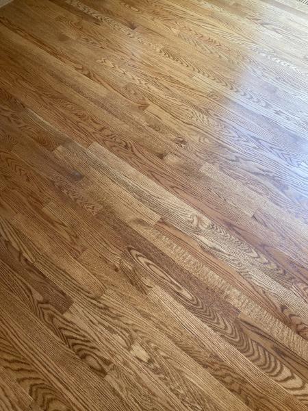 Clean Bee Flooring & Upholstery Care