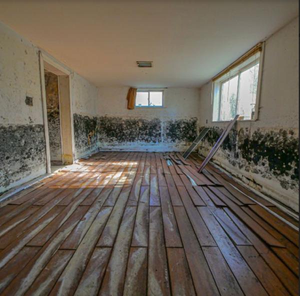 Miami Water Mold Fire Damage Restoration