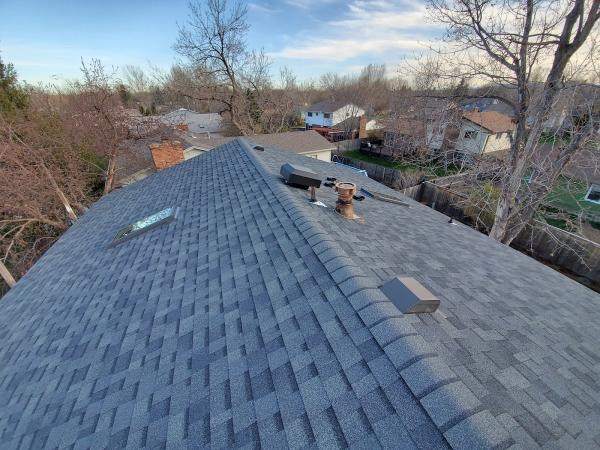 Palazzo Roofing LLC