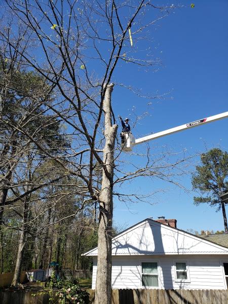 R & K Tree Service LLC