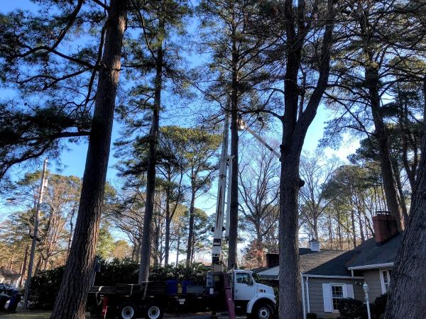 R & K Tree Service LLC