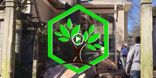 Mejia Tree Service