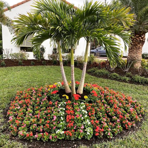 Cueva Lawn Care LLC