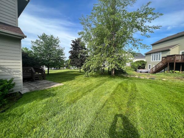 Vargas Lawn Care Services ( Lawn Mowing