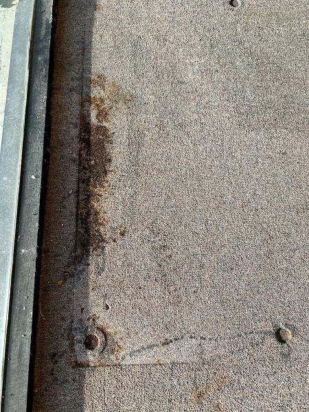 Discount Carpet Cleaning