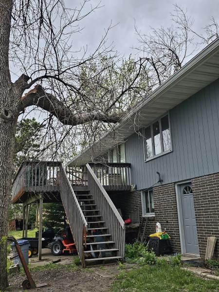 Premium Tree Service