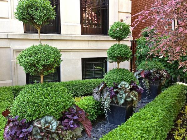 Botanical Concepts Chicago