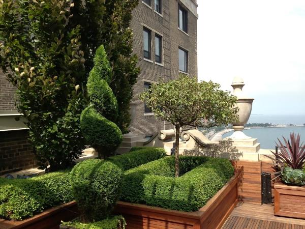 Botanical Concepts Chicago