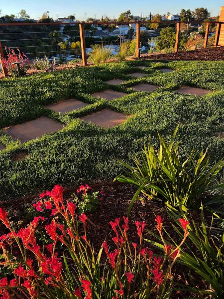 Infinite Sky Landscape Design