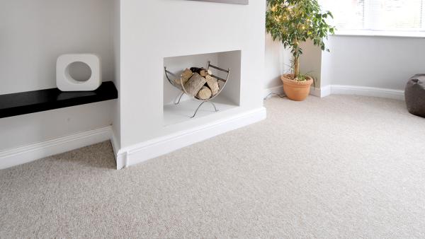 Mullins Carpet Cleaning Inc