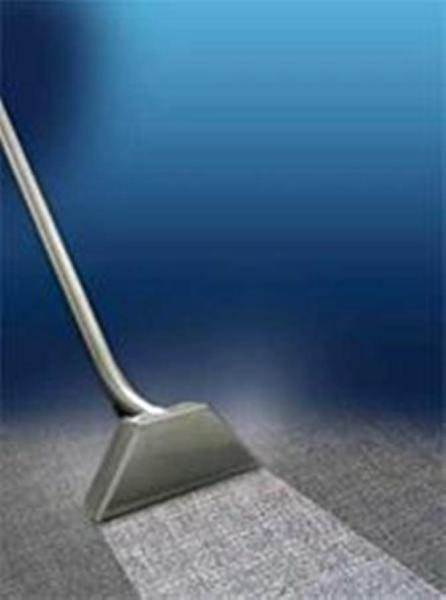 Mullins Carpet Cleaning Inc