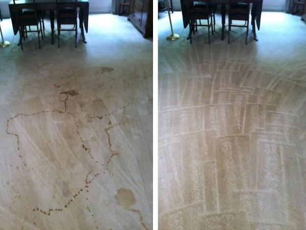 Mullins Carpet Cleaning Inc