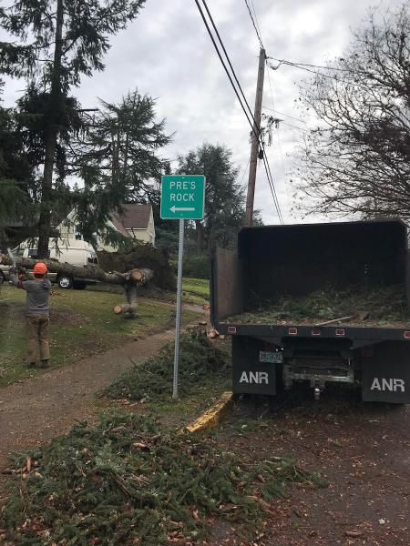 Greentree Arborists