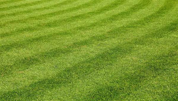 Bulloch Lawn Care