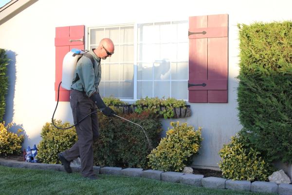 Accurate Termite and Pest Control