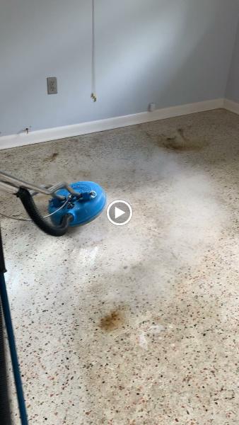 Germophobes Florida Cleaning