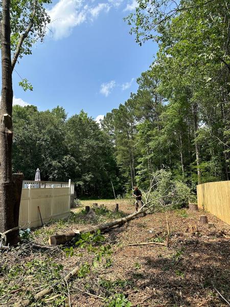 Thomas Tree Solutions