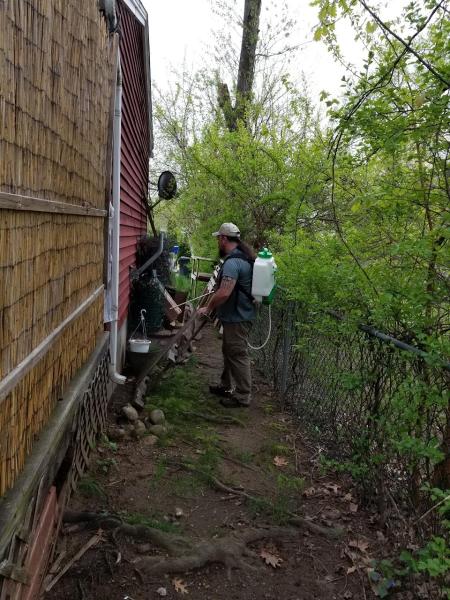 All Green Pest Control