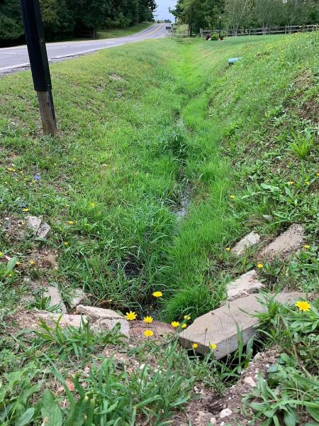Grass Bird Landscaping