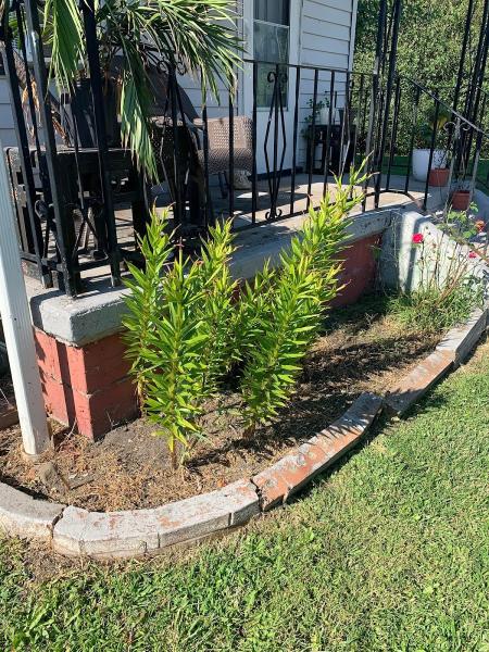 Grass Bird Landscaping