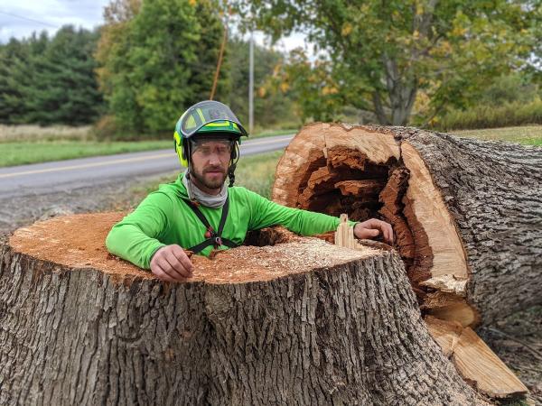 Northwood Tree Care