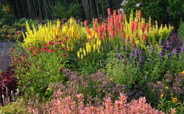 Bountiful Gardens