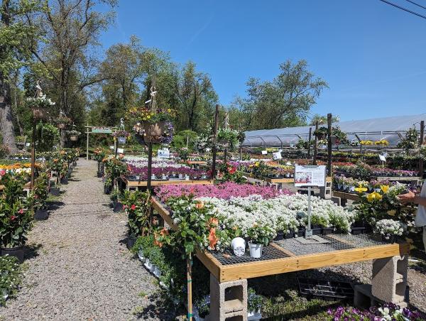 Bountiful Gardens