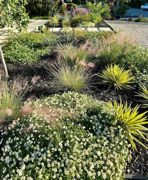 Gardens For Texas