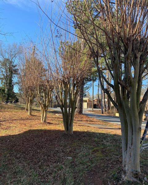 GA Supreme Landscaping