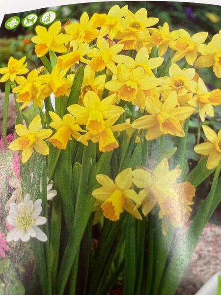 Chris Orser Landscaping Inc.