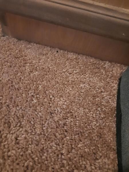 Vogel Floor Covering