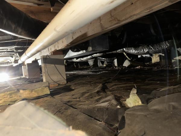 Dogwood Crawlspaces