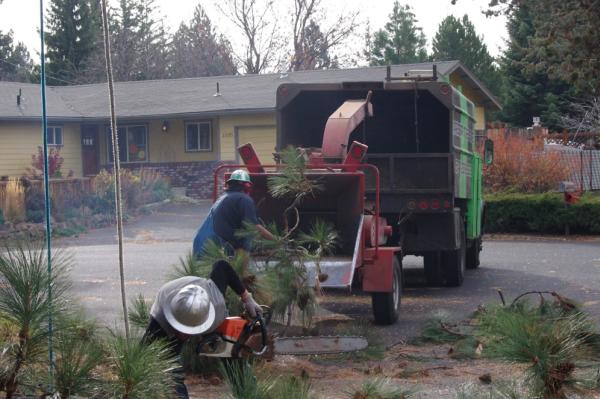 Arbor Tree Care LLC