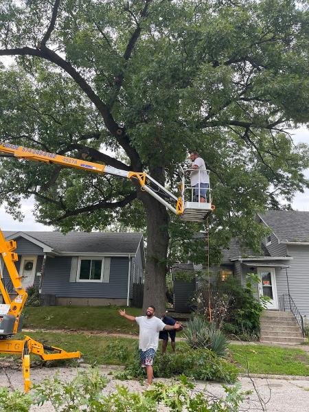 Wever Tree Service