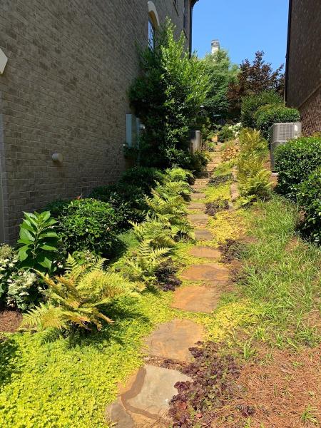 Ann Johnson Design & Landscape
