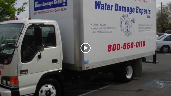 The Water Damage Experts