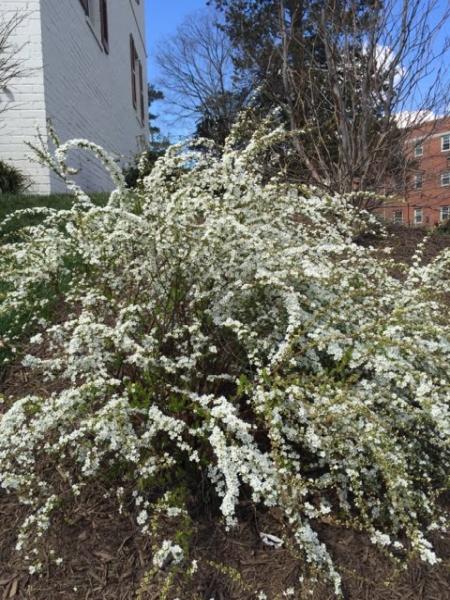 Loughridge Landscapes